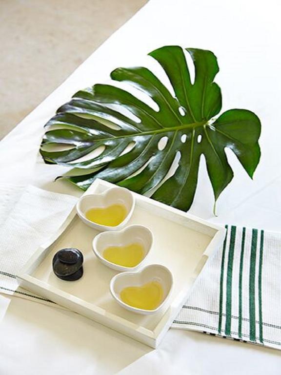 فندق The Island House ناسو المظهر الخارجي الصورة